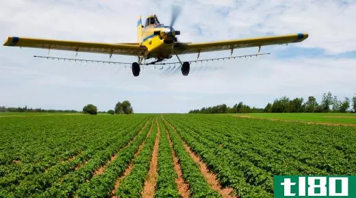 Insecticides that target stink bugs can be sprayed from aircraft on to farms.