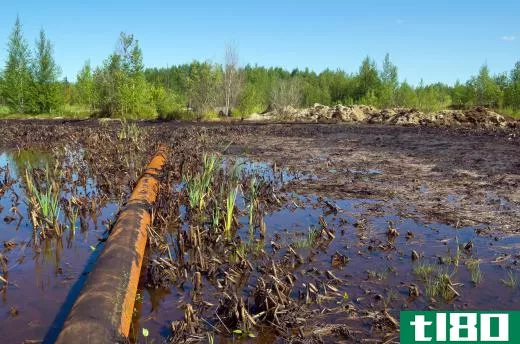 Some treatment systems rely on microorganisms that eat away oil pollution.
