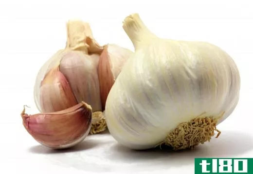 Garlic grows from bulbs.