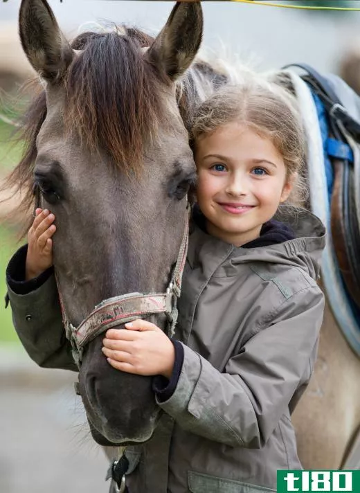 Horses are often used for pet therapy.