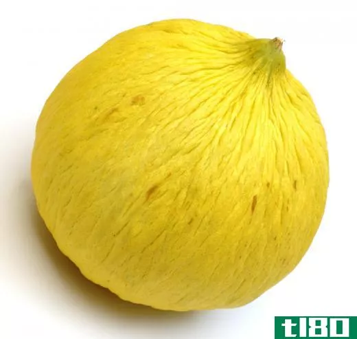 A casaba melon, which is a member of the Cucumis genus.