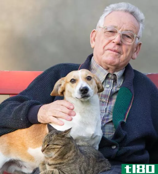 Pet therapy can have a very positive effect on the elderly.