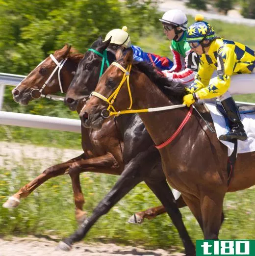 Thoroughbred horses are good for racing.