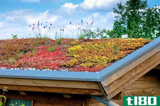 Green roofs, or roofs which feature vegetation, insulate a property and also reduce the amount of impervious surface.