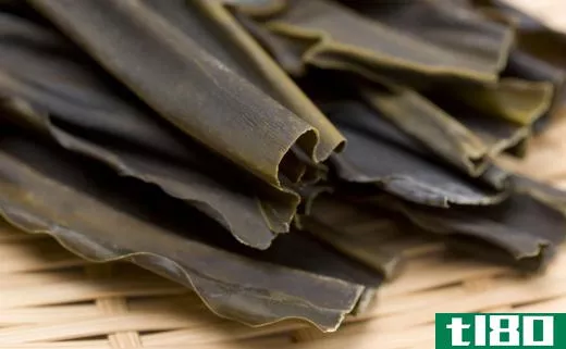 Some types of seaweed, like kelp, look like sheets.