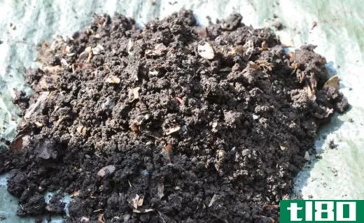 Worm castings should be able to be retrieved from a vermicomposting box after a few weeks.