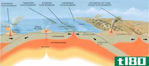 During the Permian period, the continents were pushed together by the forces of plate tectonics.