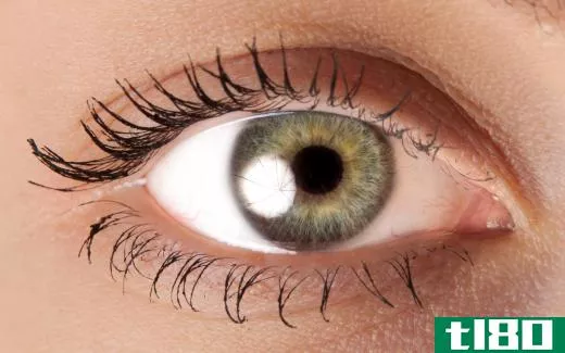 People with olive skin may have green eyes.