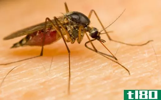 Malaria is endemic to many parts of Africa and Southeast Asia.