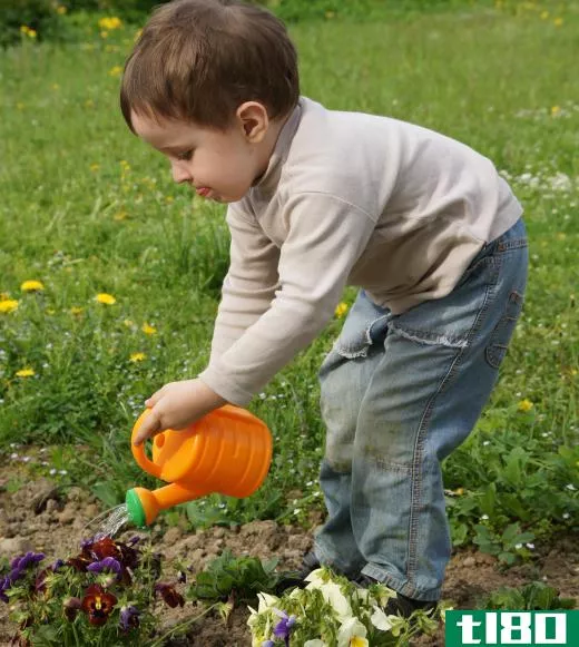 A boy watering flowers.