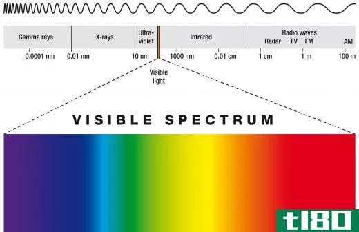 Someone positioned between a rainbow and the sun would see the colors of the visible spectrum from red to violet.