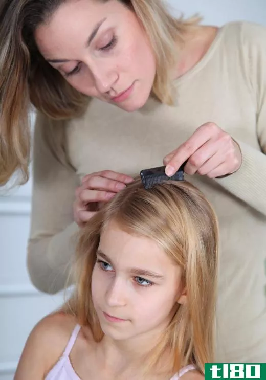 Inspecting hair with a lice comb may reveal the insects and their eggs.