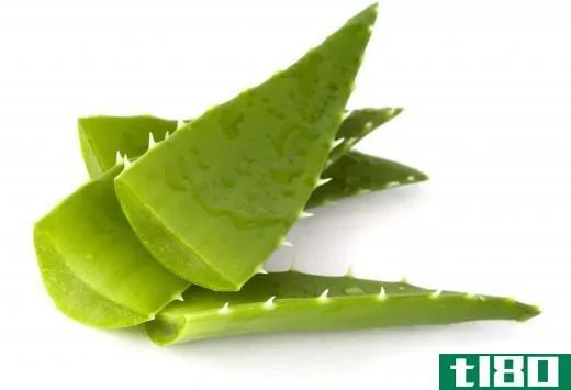 The juice from the aloe vera plant contains emollients.