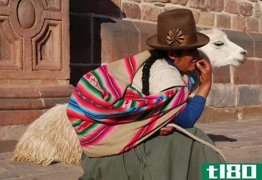 The Incas used aloe vera to provide relief from sunburn.