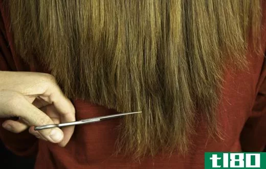 Getting regular trims may help prevent dry, frizzy hair.