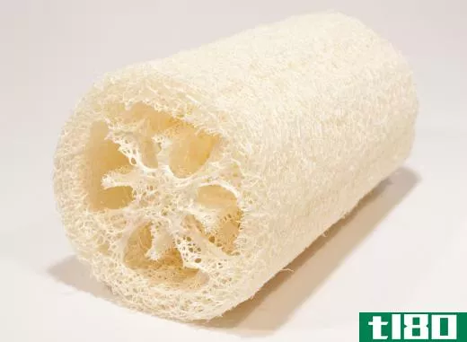 Loofah sponges are used to exfoliate legs.