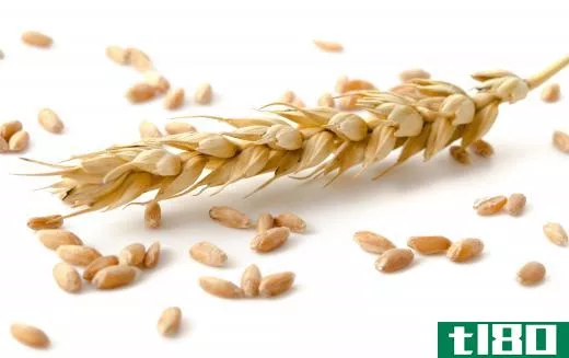 Wheat protein is a common ingredient found in volumizing shampoo.