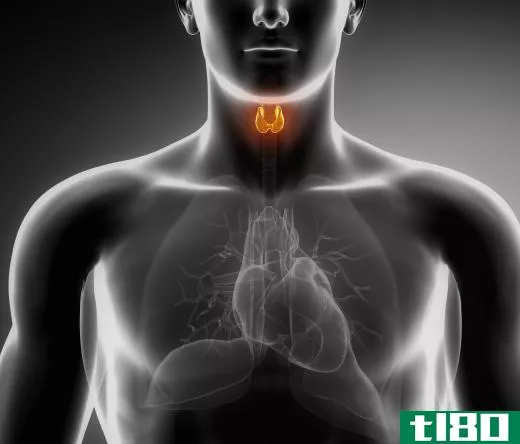 Thyroid disorders may trigger lip hyperpigmentation.