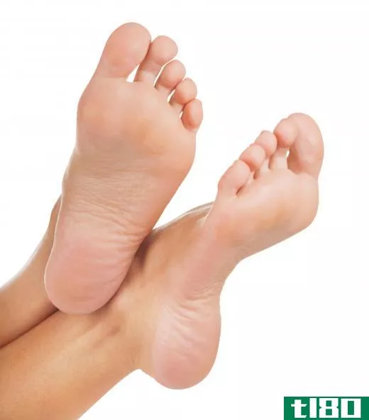 Vellus hairs are rarely found on the soles of the feet.