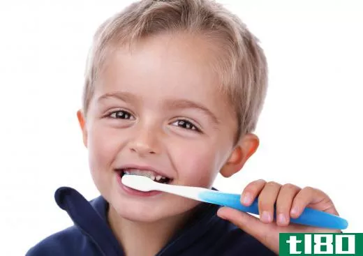 Brushing the teeth is an important step in having good oral hygiene.
