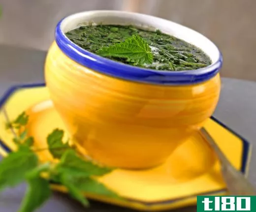Nettle oil is extracted from the stinging nettle leaf.