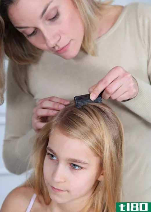 Coal tar soap can be used in treating a head lice infestation.