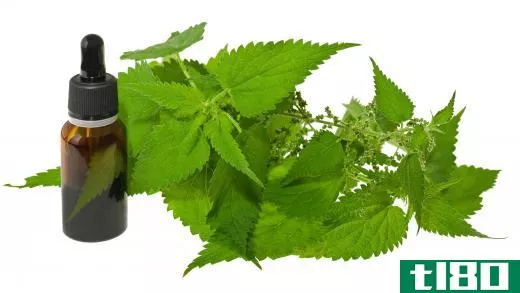 Nettle leaf extract may be used to treat itching and redness of the skin or scalp.