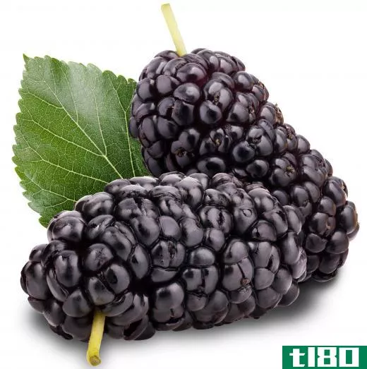 Mulberry tree extract is a natural alternative to zinc.
