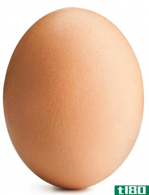 An egg.