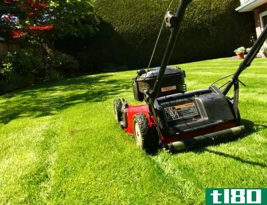 Replacing grass with herbal groundcover can eliminate the need to mow.