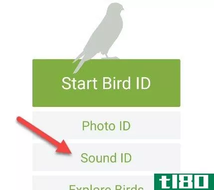 你可以用手机轻松识别鸟叫声