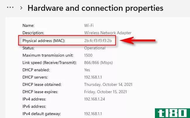 如何在windows10或11上找到mac地址