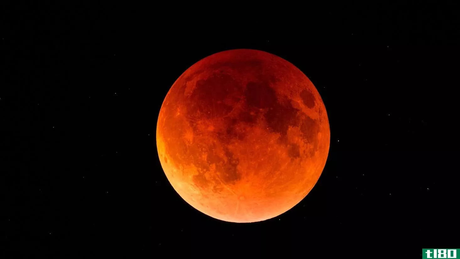 Image for article titled When to Watch the Lunar Eclipse in May
