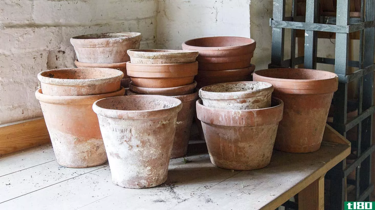 Image for article titled How to Clean That White Residue From Your Terracotta Pots