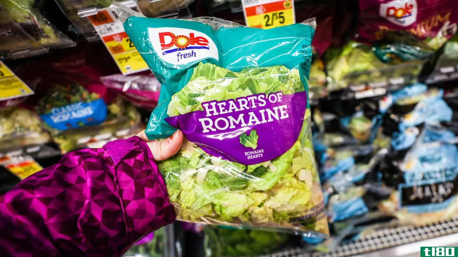 Image for article titled Throw Out These Listeria-Ridden Salads, FDA Says