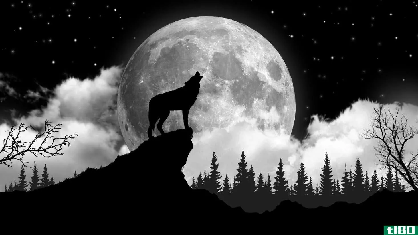 Image for article titled When to See the Wolf Moon in January