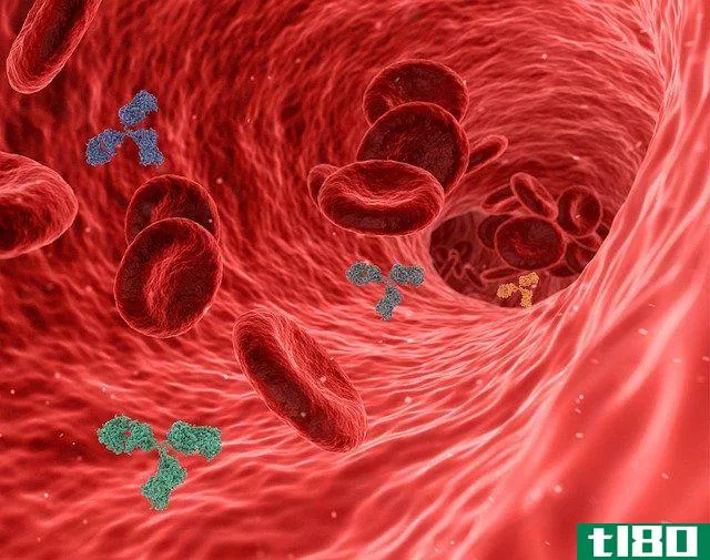 illustration of red blood cells and pathogens