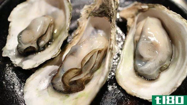 three oysters