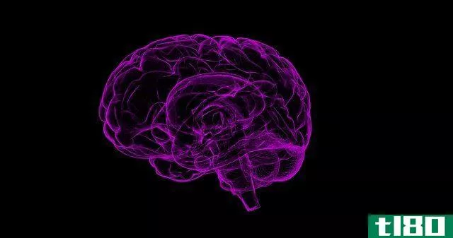 illustration of a human brain against black background