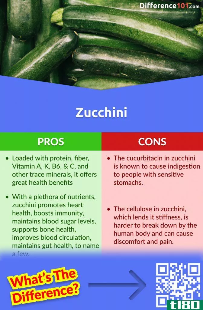 Zucchini Pros and Cons