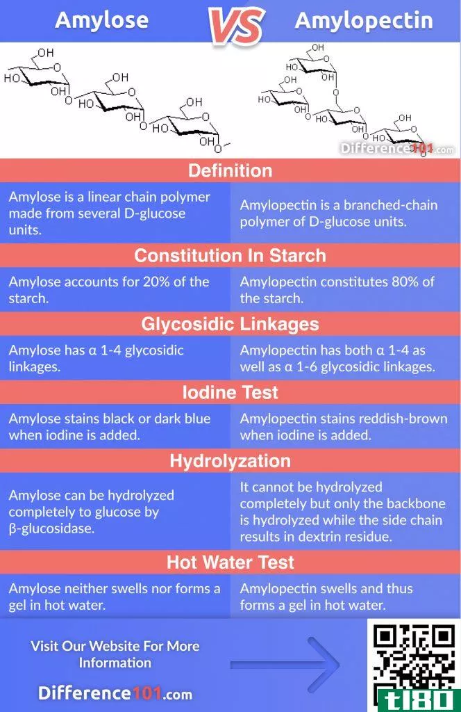 Are you curious about the difference between Amylose and Amylopectin? Great! In this article you’ll discover their key differences, Pros & Cons, as well as answers to some FAQs