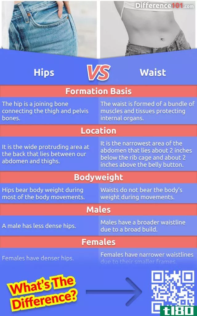 Many women are confused about the differences between their waist and their hips. So, here's the information you need to know to determine the difference between your waist and your hips.