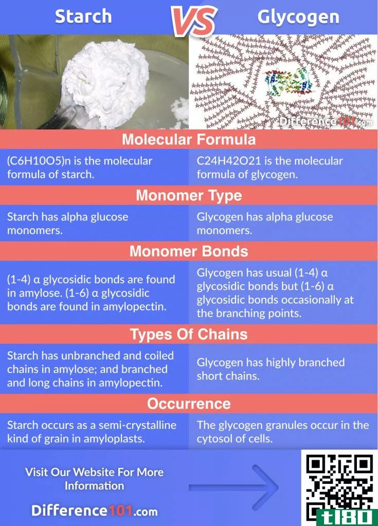 Do you know the difference between carbohydrates? Read this article to find out the key difference between Starch, Glycogen and Cellulose and their Pros & Cons