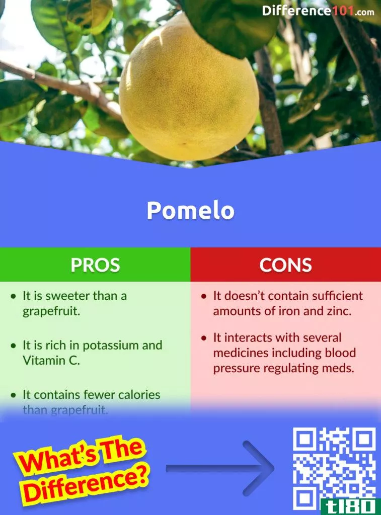 Pomelo Pros and Cons