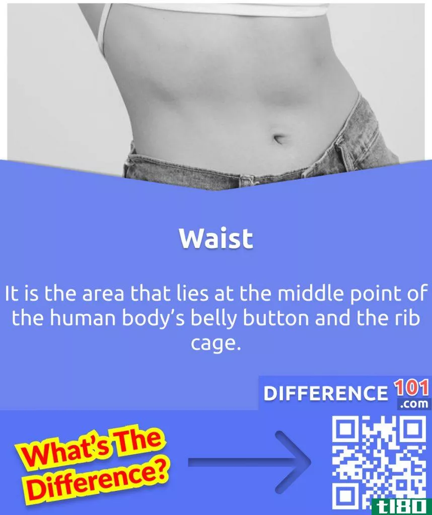 What is a Waist?