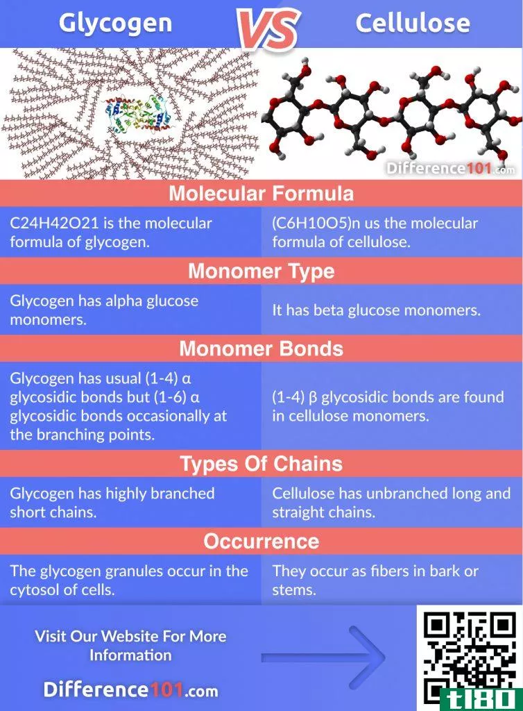 Do you know the difference between carbohydrates? Read this article to find out the key difference between Starch, Glycogen and Cellulose and their Pros & Cons