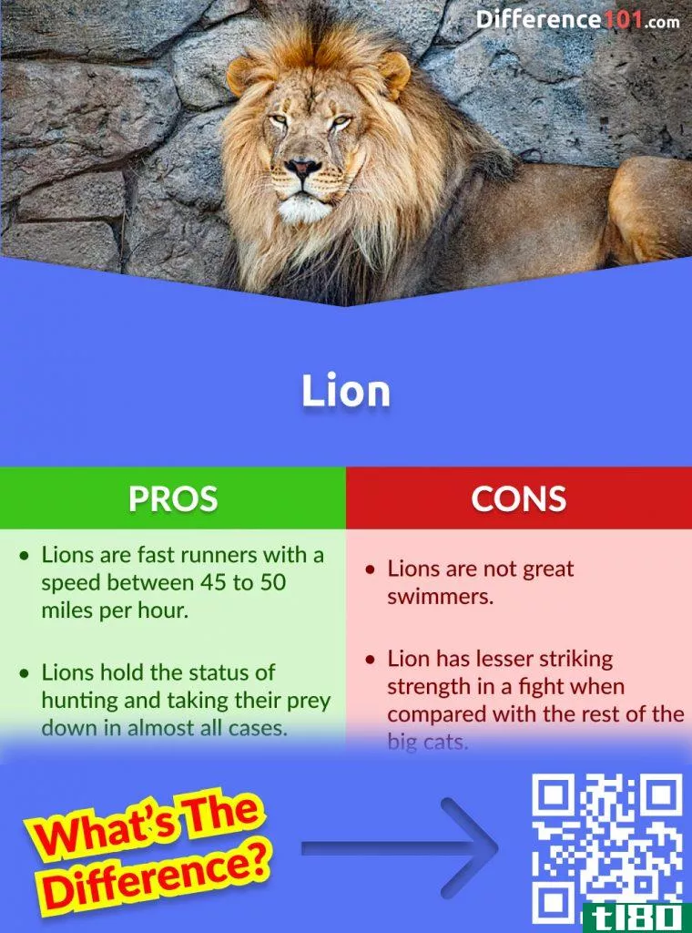 Lion Strengths and Weaknesses