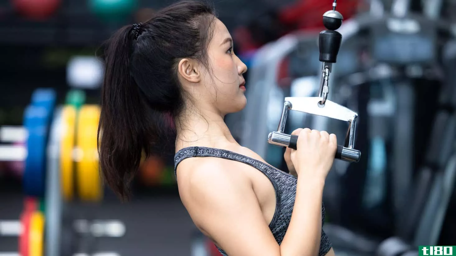 Image for article titled How to Use All Those Weird Cable Attachments at the Gym