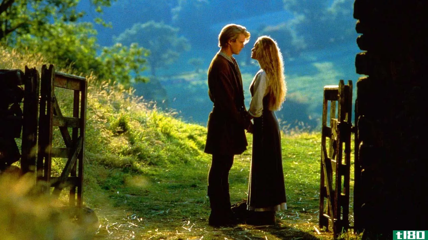 A screenshot from The Princess Bride of Westley and Buttercup embracing
