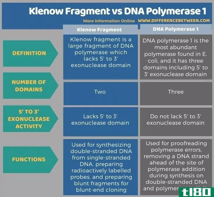 克莱诺碎片(klenow fragment)和dna聚合酶1(dna polymerase 1)的区别